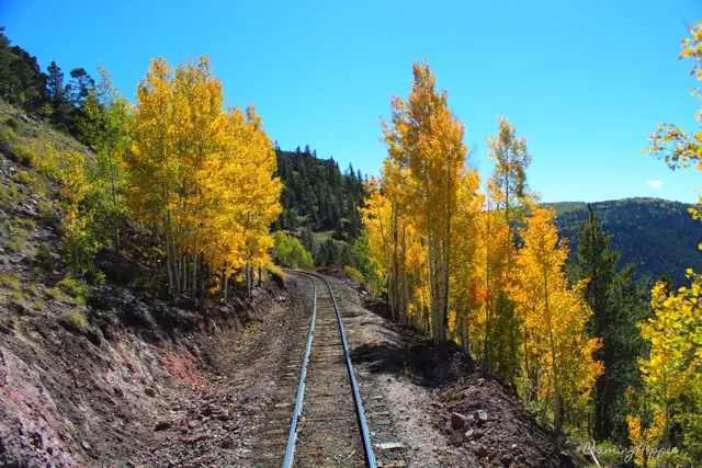 Narrow-gauge railroad tracks through bright yellow aspens