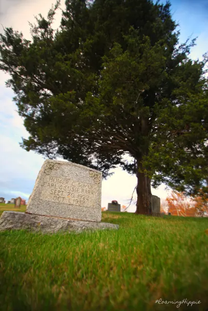 An old gravestone beneath a large evergreen tree