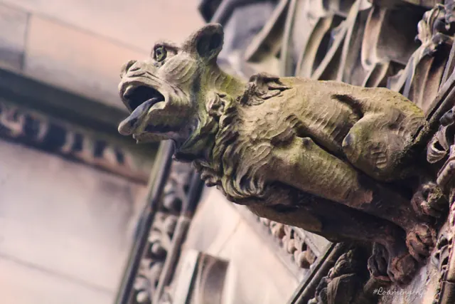 A gargoyle shaped like a creature leaning from a wall